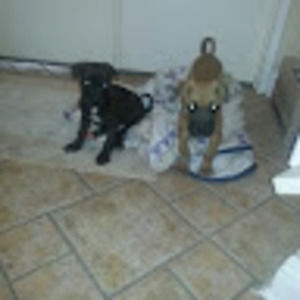 Meet your Posher, Clifton